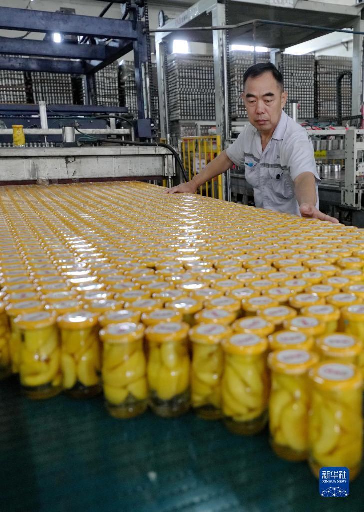 游戏网站平台